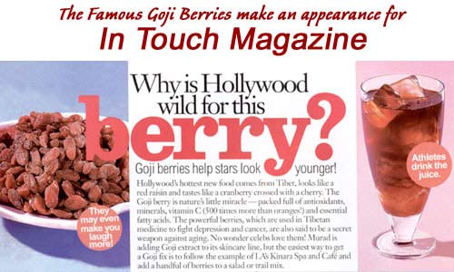 Health Drink Himalayan Goji Berry Juice In Touch Magazine Article